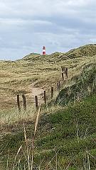 Sylt (183)
